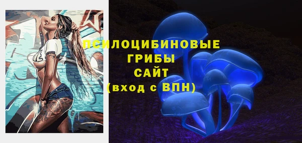 тгк Верхний Тагил