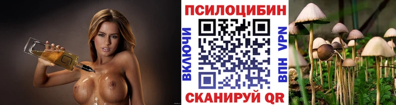 Галлюциногенные грибы ЛСД  гидра ССЫЛКА  Ахтырский 